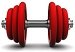 Fitness Equipments