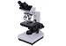 Microscope