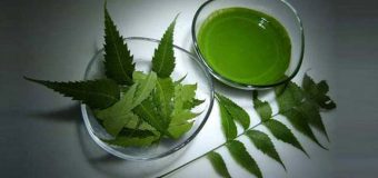 খুশকি তাড়াতে নিম