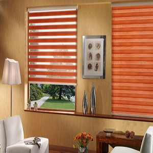 Window Roller Vertical Blind BDRB