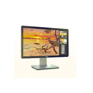 Dell P2014H 19.5 Inch Professional Monitor