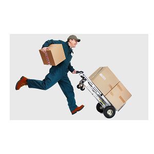 World Wide courier Movers