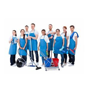 cleaning and pest control service