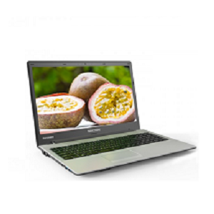 Walton Passion Laptop WP156U5S