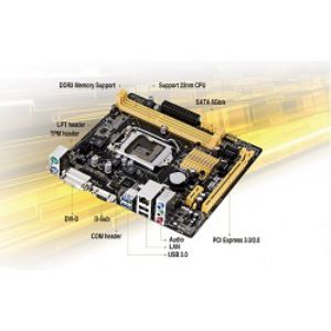 ASUS H81M P
