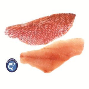 Red Snapper Sea Fish Fillet