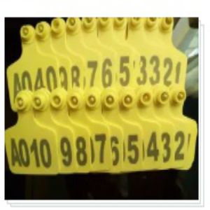 Ear Tag For Cow Price BD | Ear Tag For Cow