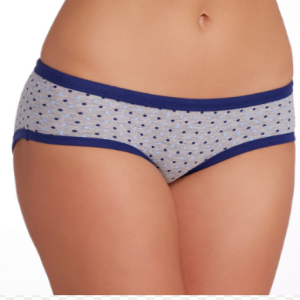 Comfort Hipster Panty Price BD | Comfort Hipster Panty