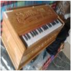 3.5 Octev New Harmonium