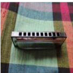 10 Holes Harmonica (Mouth Organ)