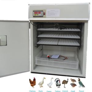 Egg Hatching Machine Price BD | Egg Hatching Machine