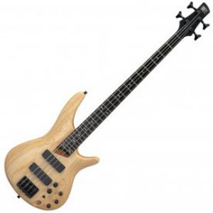 Bass Guitar Price BD | Bass Guitar