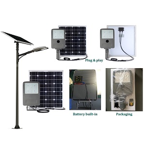 20 watt All in Two Solar Street Light