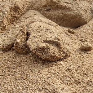 Selection Sand Price in Bangladesh | Selection Sand
